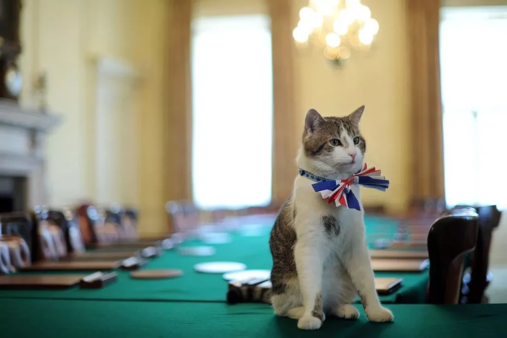 Larry the Cat will stay at Number 10 as Keir Starmer takes over